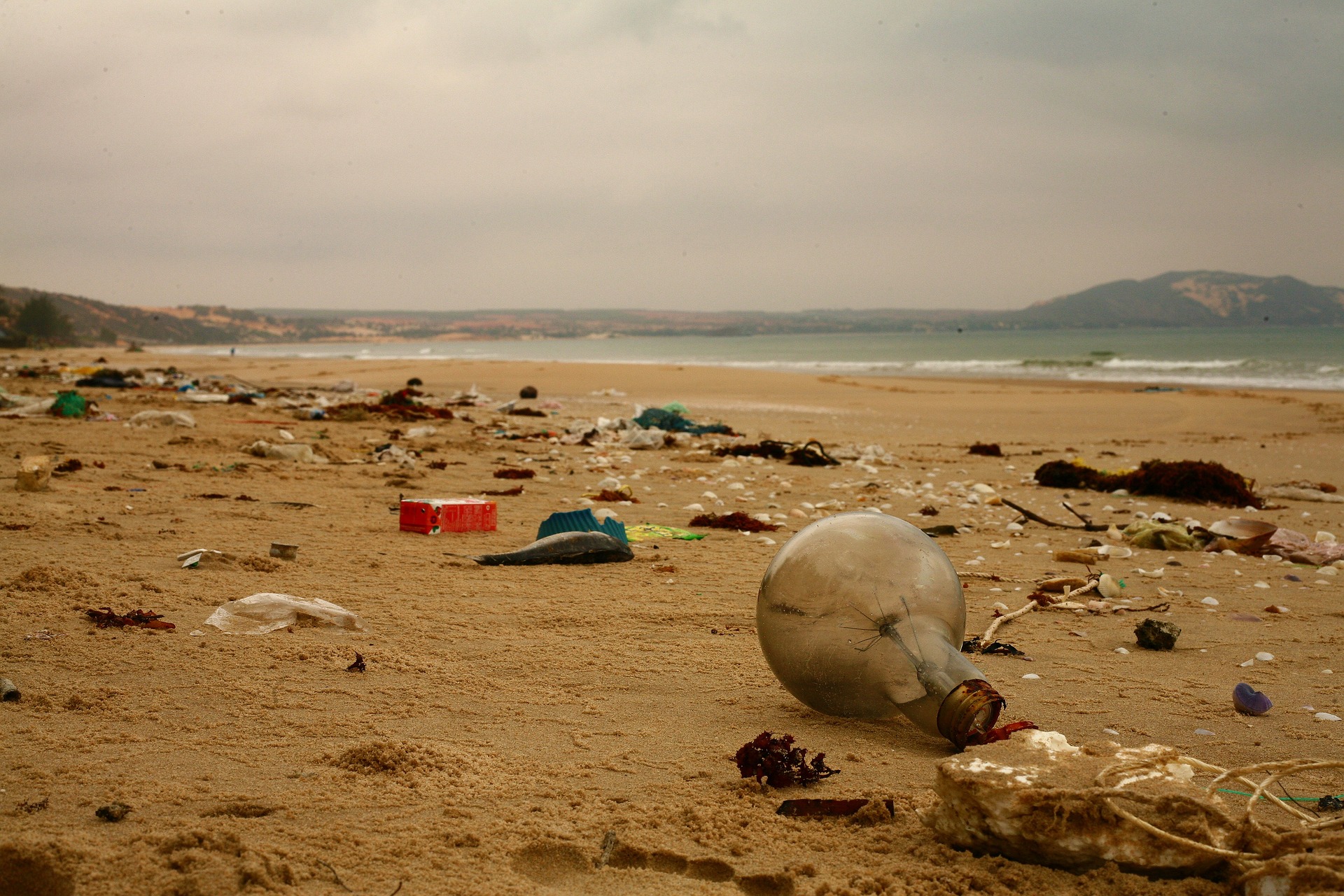 The Invisible Threat: How Microplastics Could Shape Our Future
