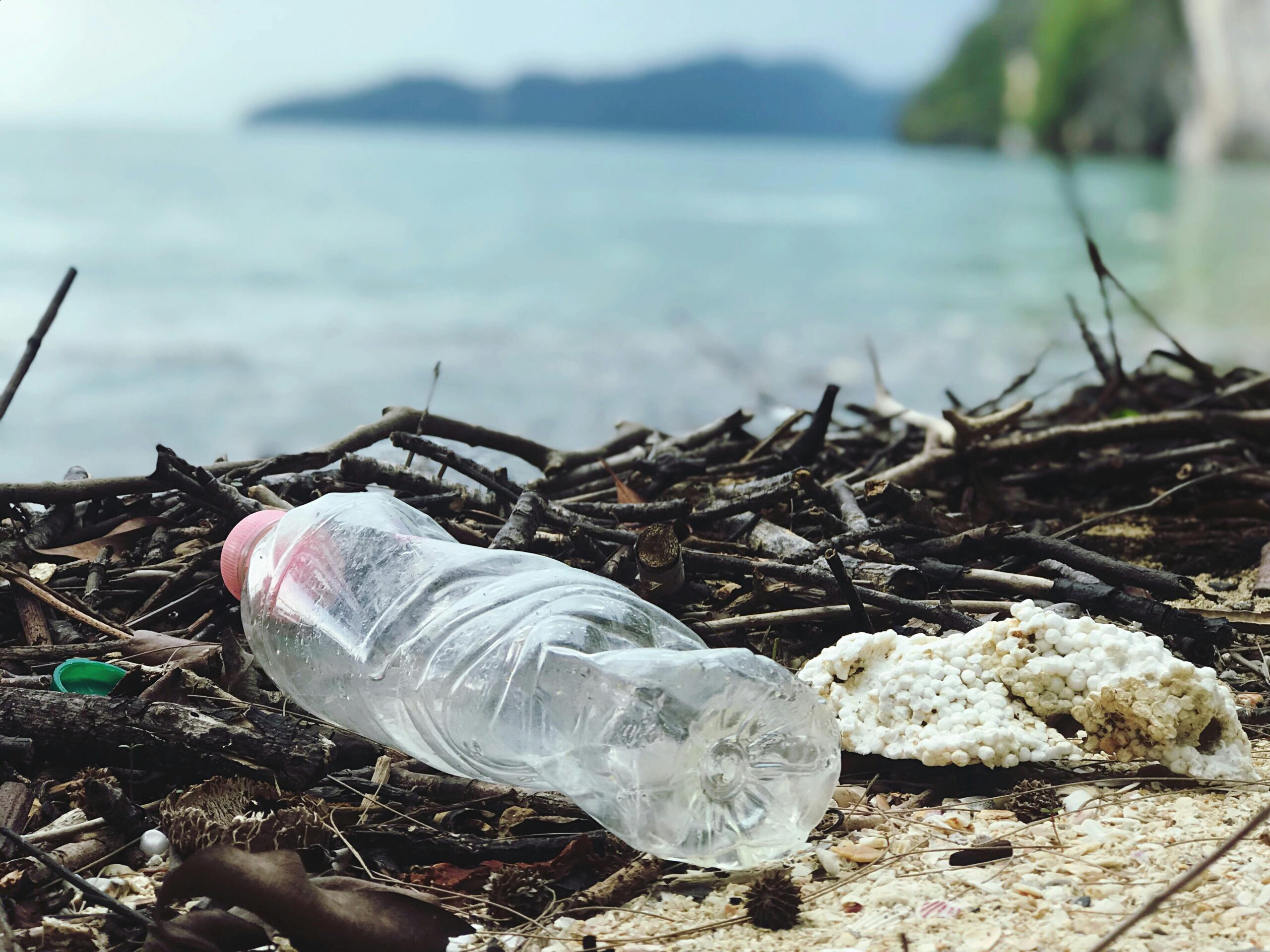 Plastic in the Sea: Why It’s a Big Problem (And What You Can Do About It)
