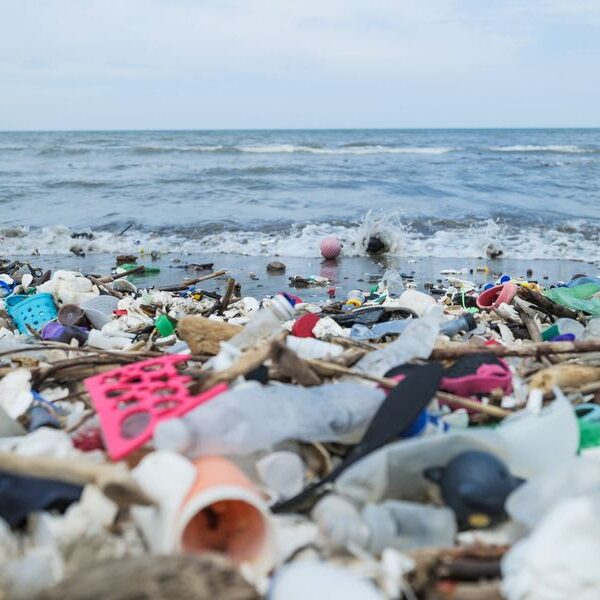 The Toxic Water Bottle: A Simple Guide to Avoiding Harmful Chemicals